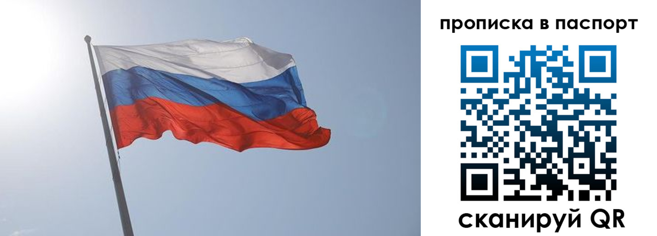 прописка для школы в Нововоронеже